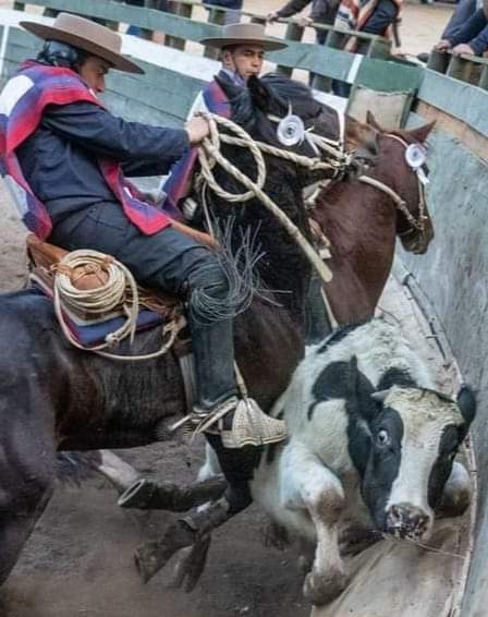 DebiaEduardo's tweet image. Esta mierda NO ES DEPORTE.
Si alguien tiene dudas, mírelo a los ojos ...  y pídanle perdón.