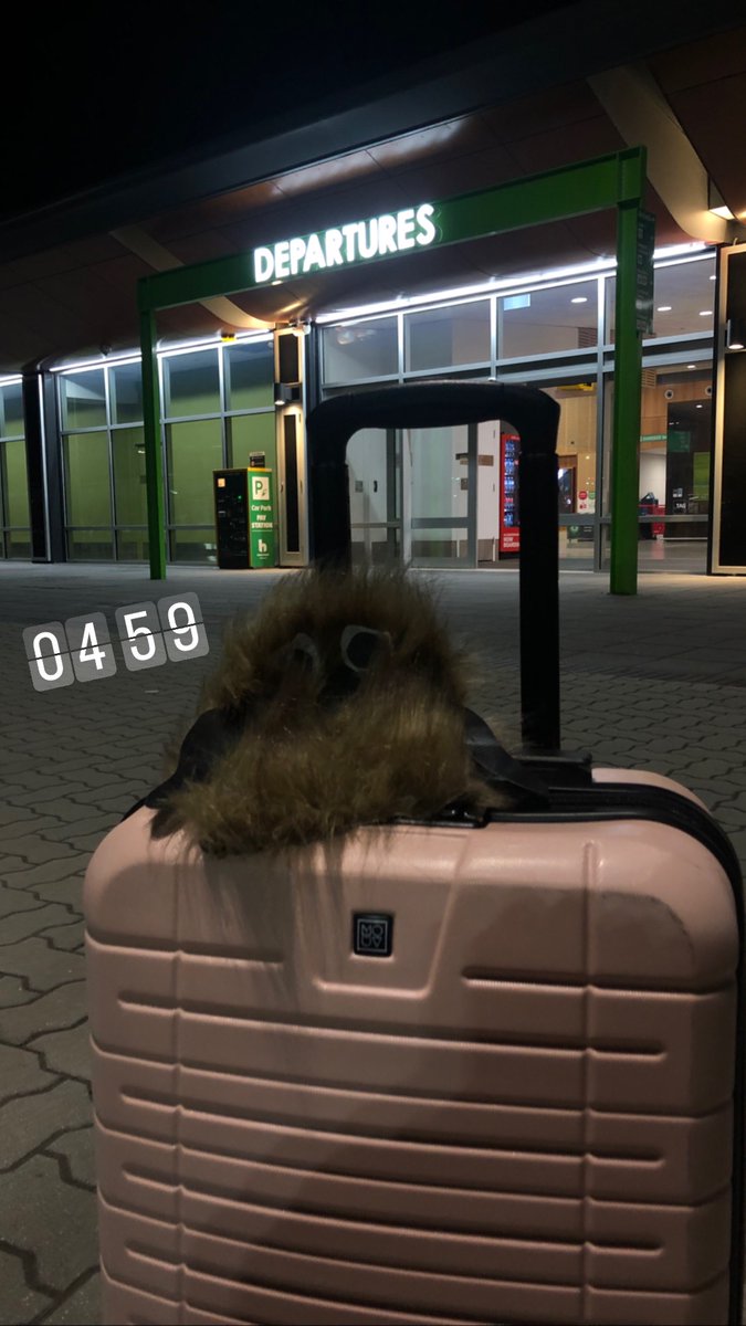 Olly Dove tweet media