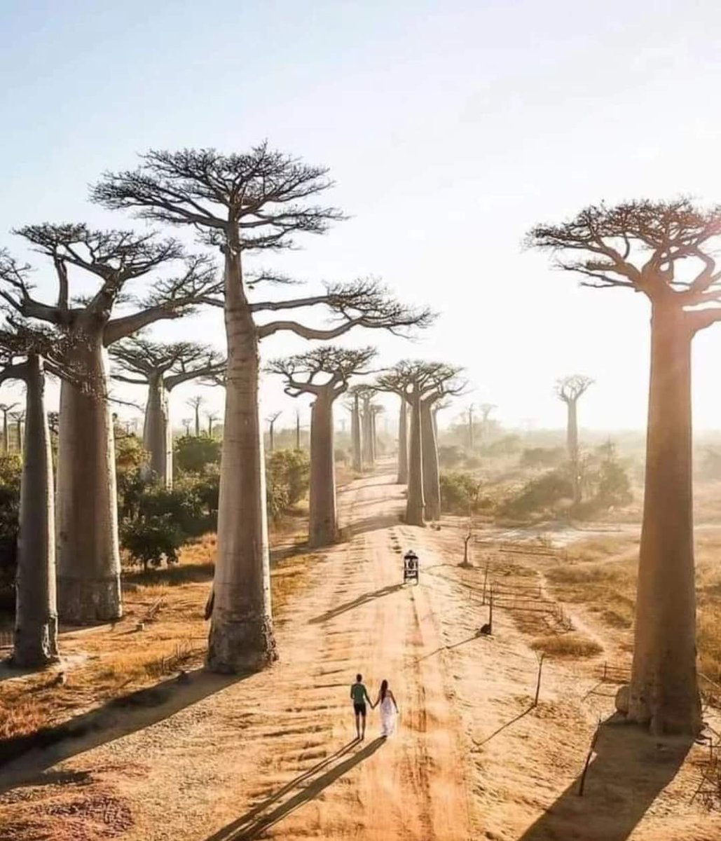 Archaeo - Histories tweet media