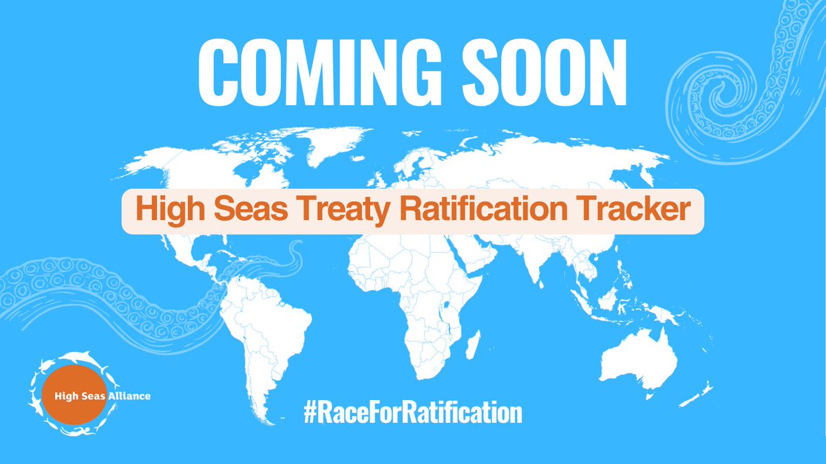 High Seas Alliance tweet media