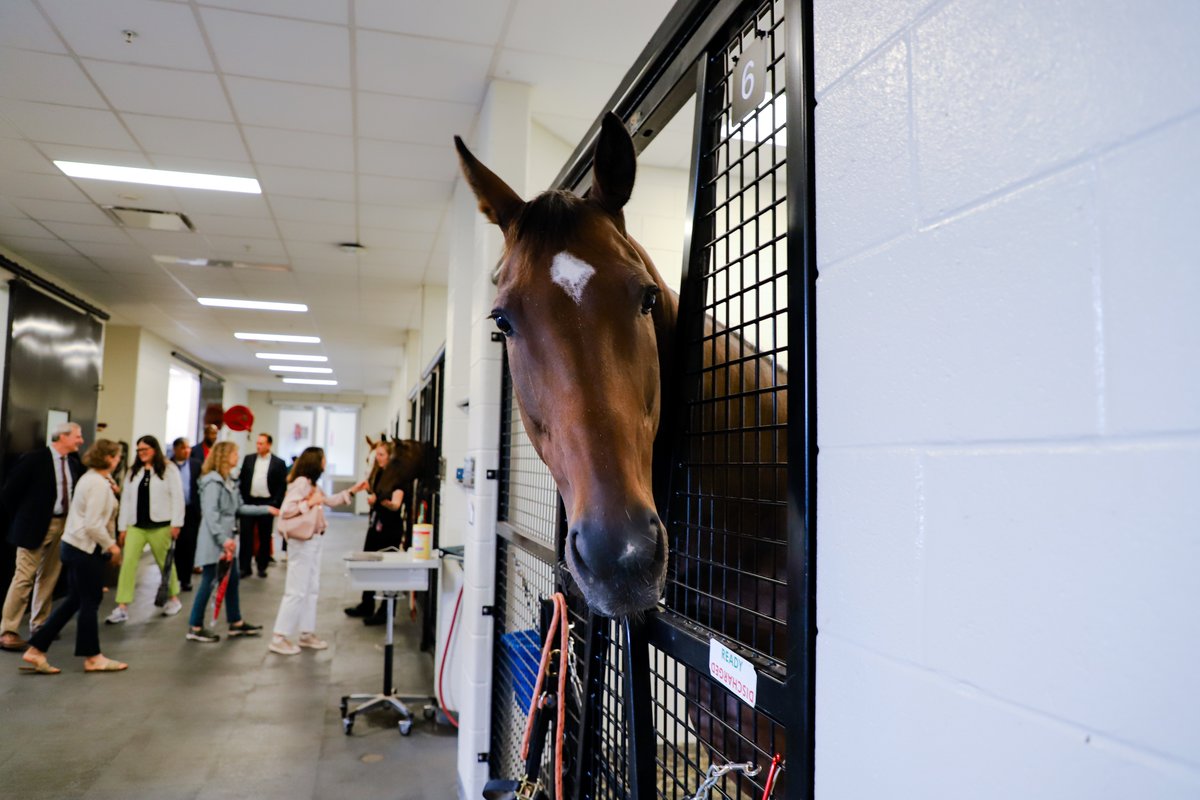 ugavetmed tweet picture