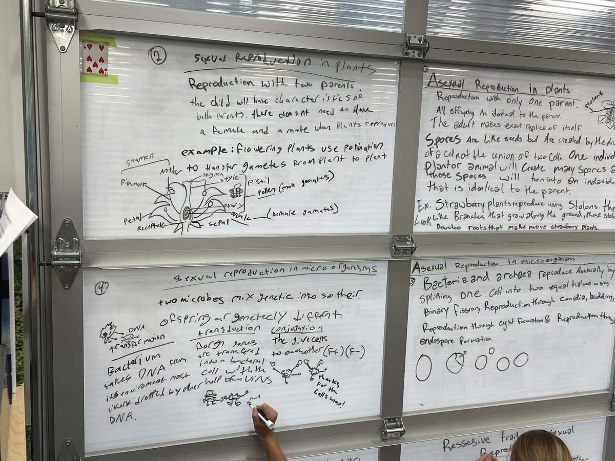 Mr.Green_PWE tweet media