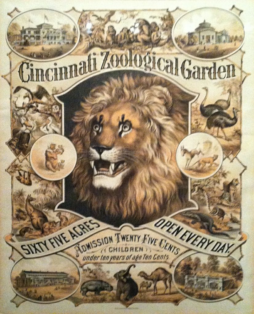 Cincinnati Zoo tweet media