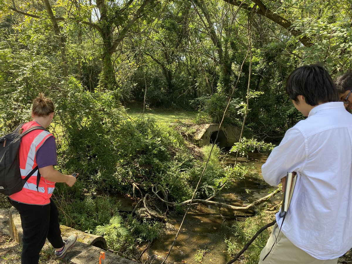 wa_innovates's tweet photo. What a beautiful day for my engineering students to tour the College Park @CollegePark_Ga segments of the Flint River as we prepare for our Project Invent kick off @project_invent next week! Tasha Hall-Garrison and Hannah Palmer were great tour guides! #findingtheflint https://t.co/VUg5HJKlDY
