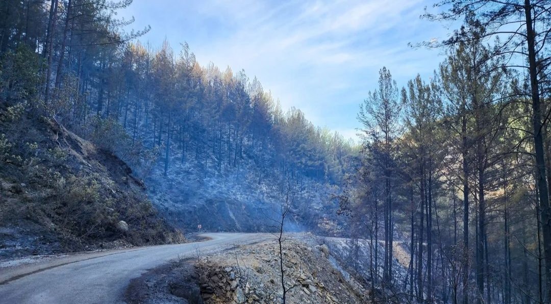 Geçmiş olsun Antalya'm 😔 #Antalya #gündem #orman #yangın