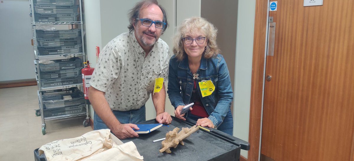 Such a wonderful day that I could show Prof.  Gabriela Mangano and Prof. Luis Buatois from <a href="/USaskGeoSci/">USask Geological Sciences</a> the trace  fossils at <a href="/NHM_London/">Natural History Museum</a> <a href="/NHM_Science/">Science at the Natural History Museum</a> . I hope one day we could together make Ichnology more quantitative!