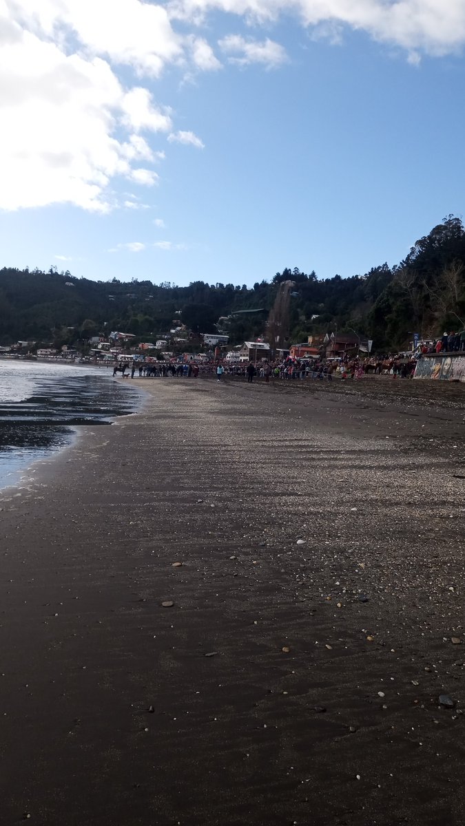 Carolin44886144's tweet photo. #ValdiviaCL https://t.co/WEBwVDgUMp