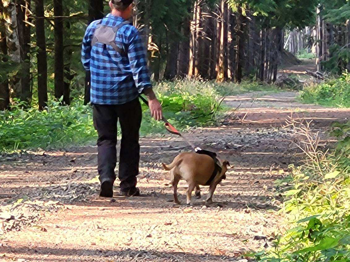 Rev. Ducati ⚔️🪓 tweet media