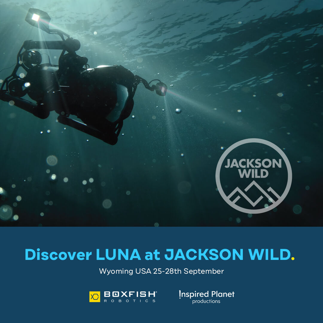 boxfishrobotics's tweet photo. ๐ Epic News! ๐
We're bringing our Boxfish Luna camera to @JacksonWild ! ๐ฒ๐ฅ Experience a revolutionary approach to underwater filming and hear from the team behind @alltooclearfilm.
#JacksonWild #AllTooClear #MeetLuna #BoxfishLuna #Underwaterfilmmaking https://t.co/UQr6F3ntrA
