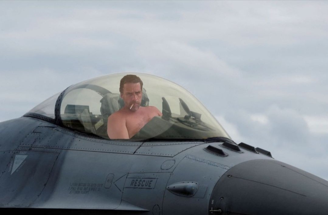 The #MissingF35 has been spotted! People will say it's photoshopped... Don't delete us, @elonmusk 😭😂 #MissingJet #Military #HunterBiden