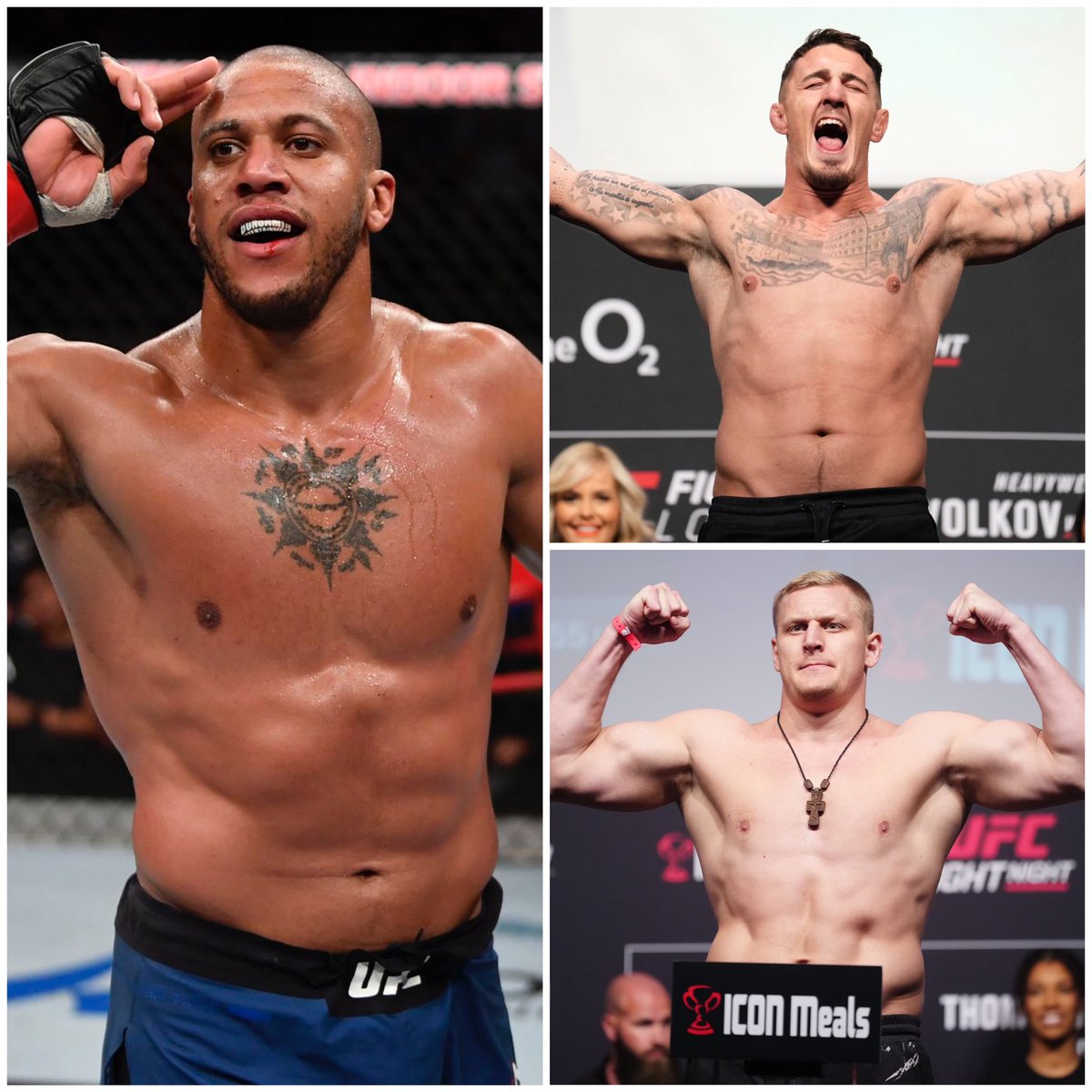 MMA Orbit tweet media