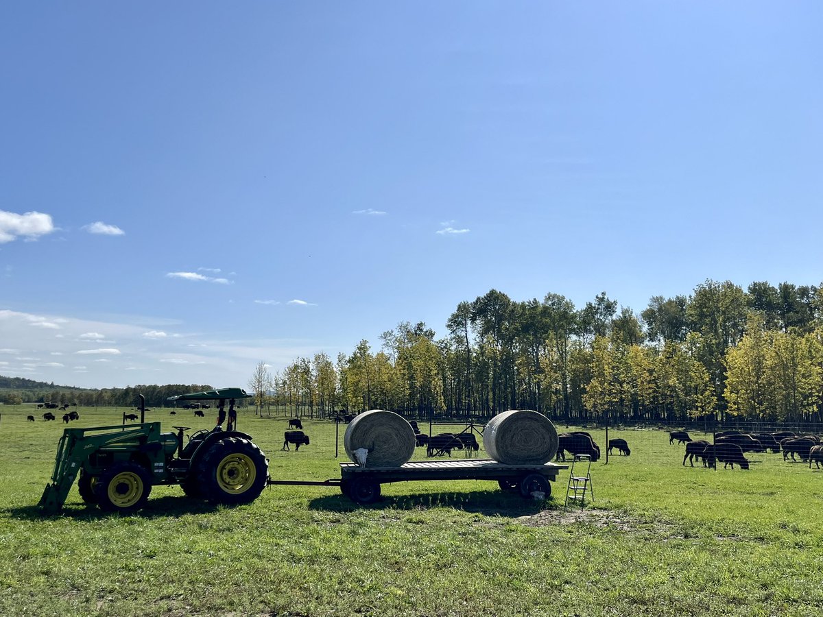 StephanieVanth1's tweet photo. Informative @OntarioCulinary #feaston Industry Day at Bison du Nord - lots of connections between farmers, restaurants, industry associations and policy makers. Thanks to the Belangers and Whiskeyjack for the delicious local food! #farmnorth https://t.co/5FLrHOlqzE