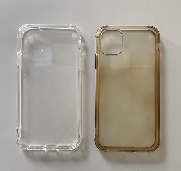 Bullstrap tweet media