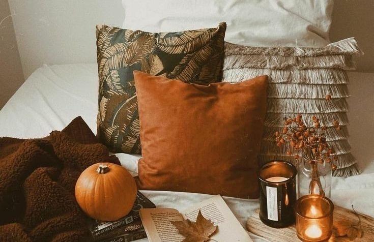 AcademiaDreams's tweet photo. cozy autumn days 🍂🐌 https://t.co/NKAH4CSVuw
