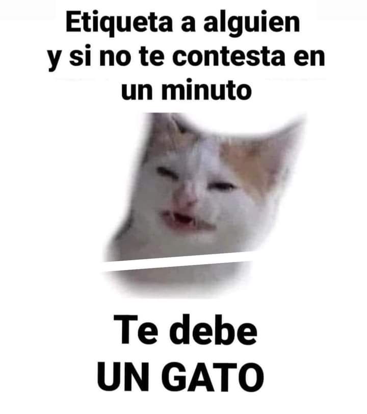 andyfarias77's tweet photo. @elmiguelmartin jaja https://t.co/Iweddf99P1