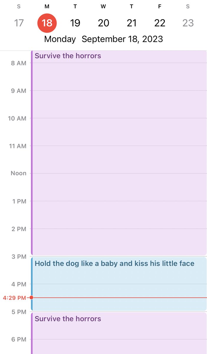 gothspiderbitch's tweet photo. it’s important to maintain a daily routine https://t.co/1LSVlzYU3w