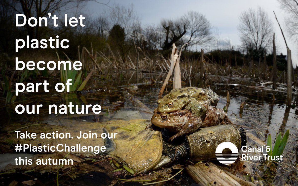 Join the @CanalRiverTrust to fight plastic pollution with their #BigPlasticPickUp this #Autumn 💙
Together, we want to help protect our canals, rivers and wildlife from plastic before it becomes part of the habitat forever 👇👇
ow.ly/tV0850PLvQc
#PlasticsChallenge