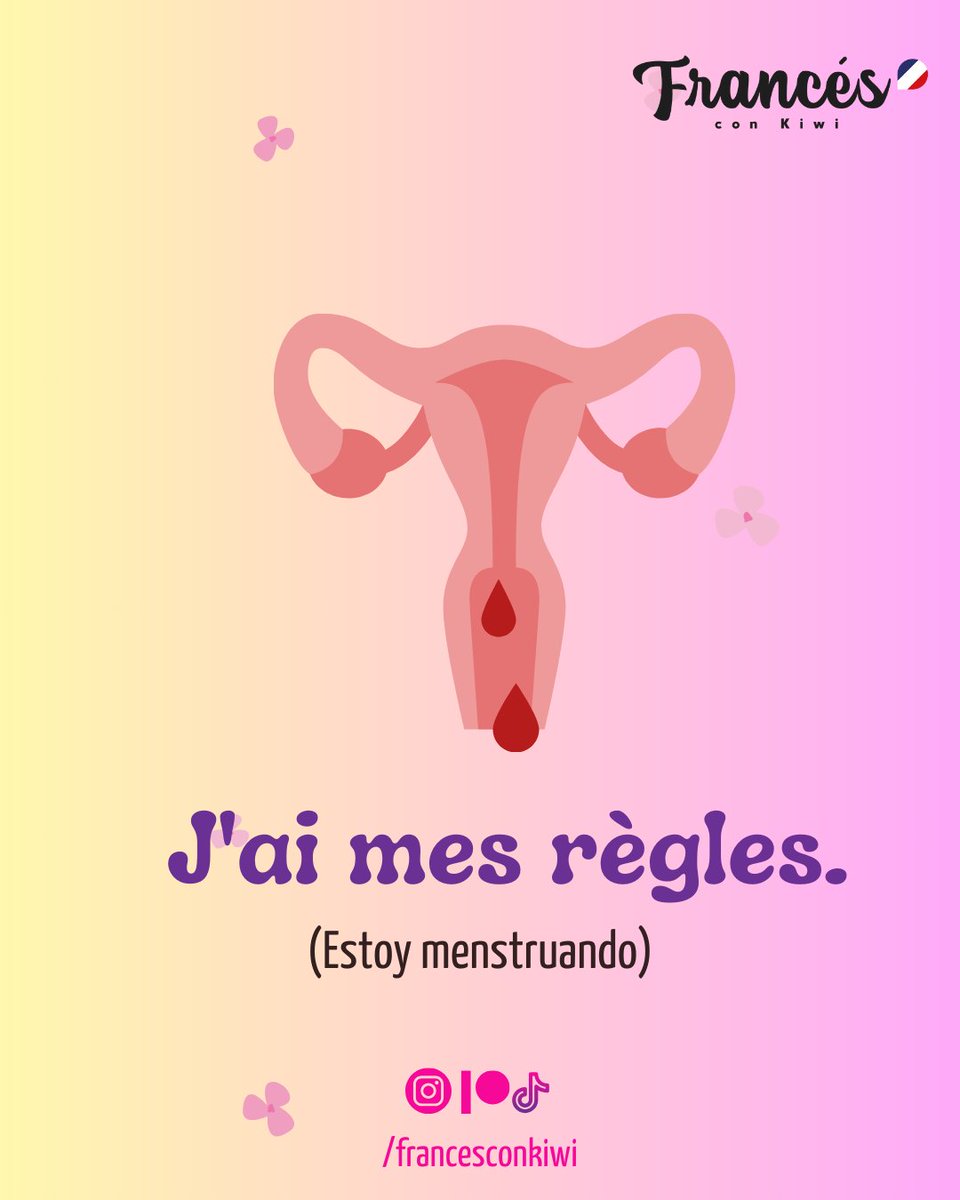 FrancesConKiwi's tweet photo. Por acá les dejamos la segunda parte de esta publicación 😻 #fle #aprenderfrances #vocabulaire https://t.co/mCYY5HSrNt