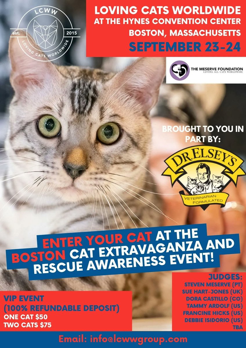 LCWWGroup's tweet image. Only a few days left to enter your cat into our Boston Cat Extravaganza!
September 23-24th (next weekend!), get excited for a fantastic weekend full of judging, vendors, speakers, and CATS! 😻
Tickets: buff.ly/47UceRQ
Enter your cat: buff.ly/3NSagts