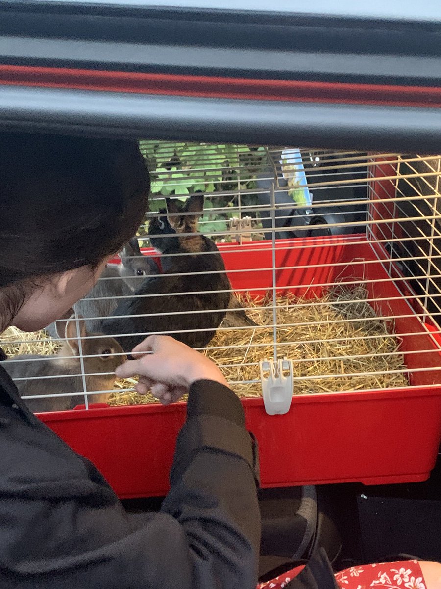 '🐇❤️ Christina lovingly looks after the bunnies! 🌸 She acknowledges their strength, resilience, and compassion today and every day! 💪💕 #WomenEmpowerment #RabbitLove #GirlPower #WomenWhoInspire' @acteuritinerant