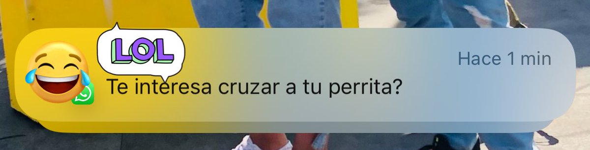 UnaTalBreen's tweet photo. Pues donde me viste la primaria trunca o qué pedo 🫣🤣🤣🤣 https://t.co/oaPSfB4ook