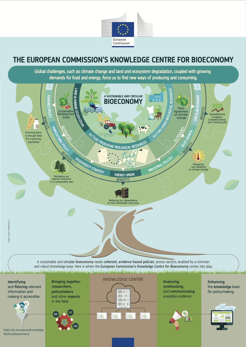Building a sustainable, circular #bioeconomy calls for cohesive, evidence-backed policies across various sectors.

The key? A robust, shared knowledge base! 🌱🔄

Discover more in this <a href="/EU_Commission/">European Commission</a> infographic: