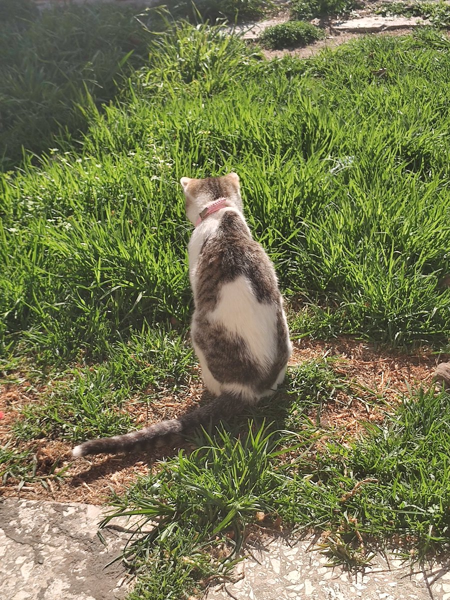 Zopen_'s tweet image. Lunes