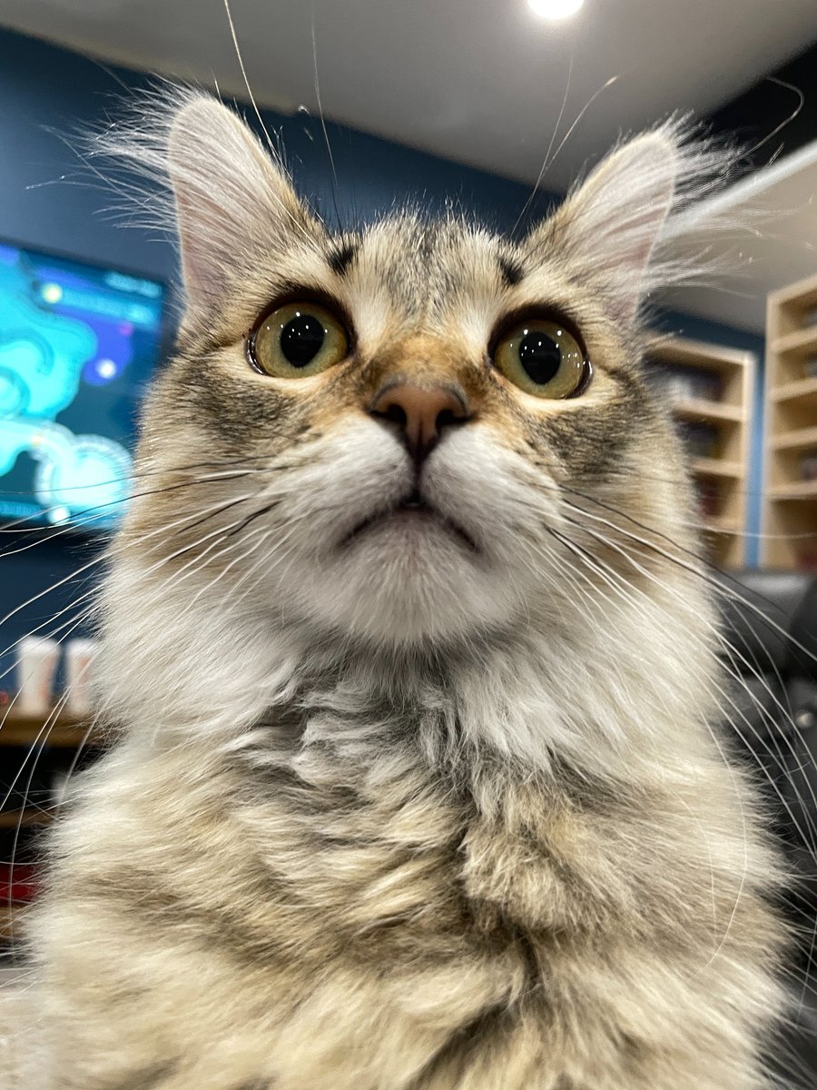 ScottTheWoz's tweet image. 