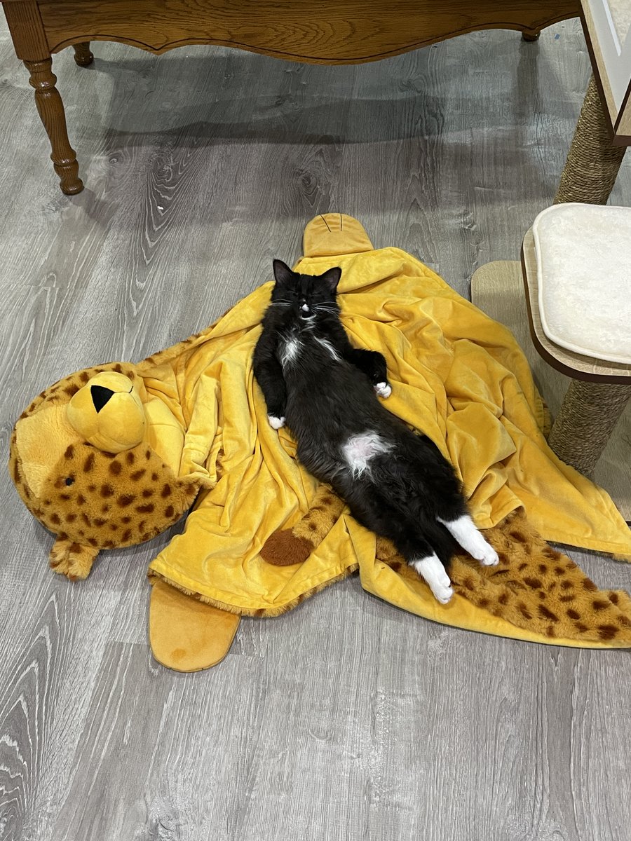 ScottTheWoz's tweet image. 