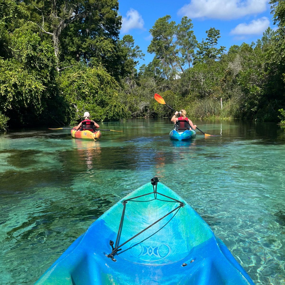 WeekiAdventures's tweet photo. Paddling through Weeki Wachee Springs State Park is the best way to spend your afternoons. 😍 https://t.co/zoFUG4MPgZ