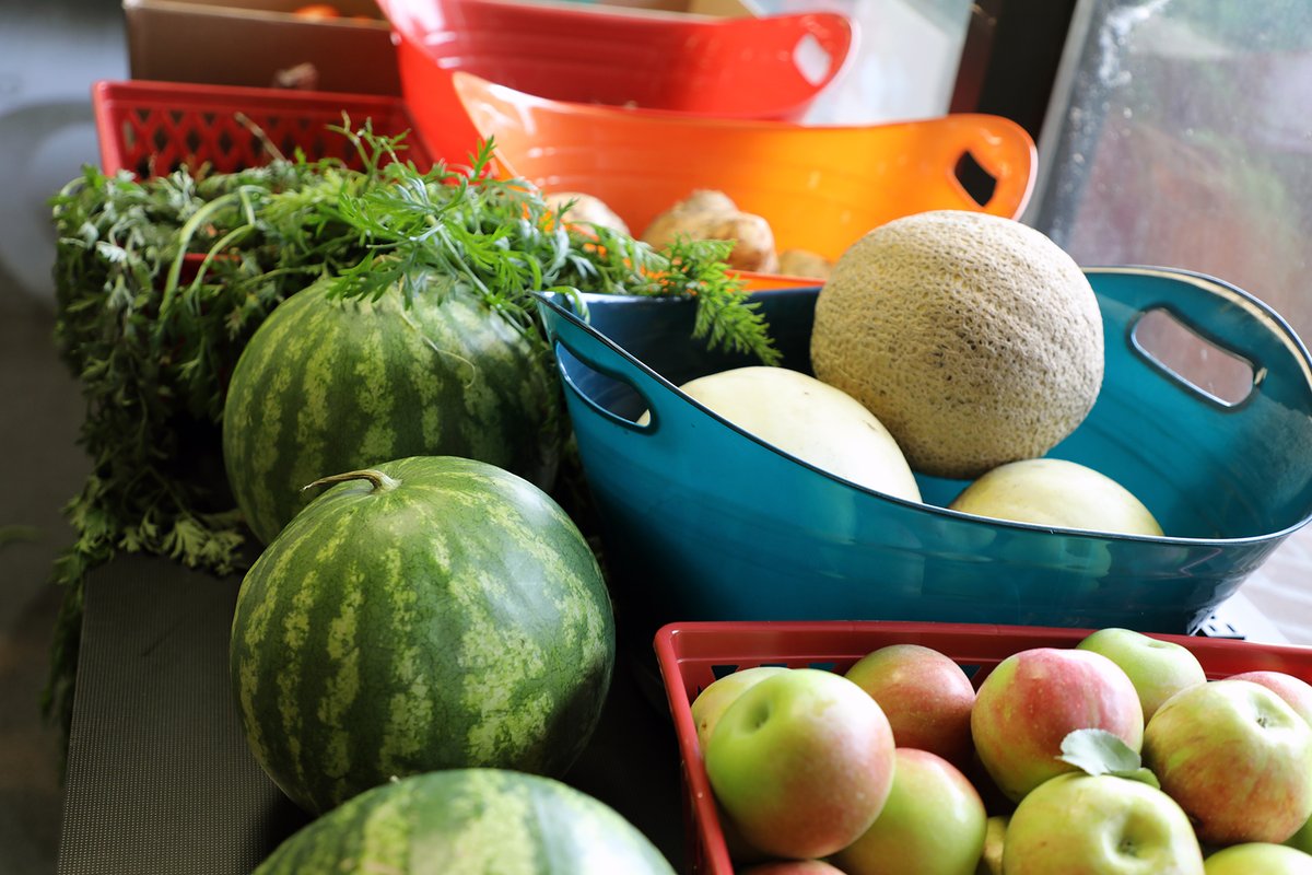 Northland continues to find creative ways to fight food insecurity and support student needs by hosting free farmers' markets on both campuses.

Learn more: gonorth.land/pr-freefarmers…

#GoNorthland