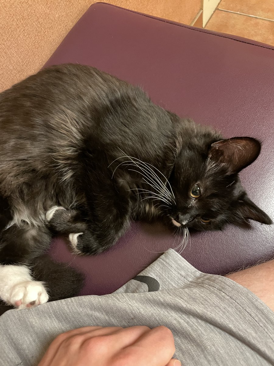 ScottTheWoz's tweet image. 