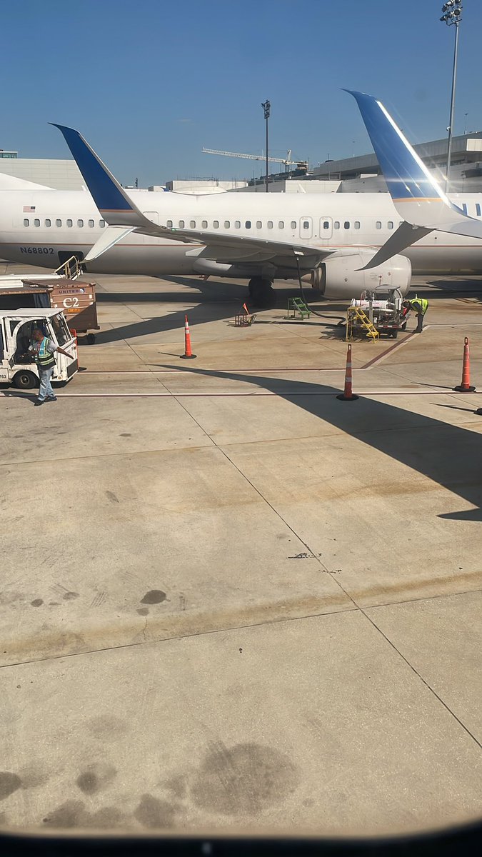 Noah Engelhardt tweet media