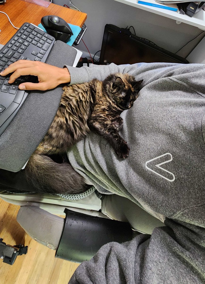 WeekendHQ's tweet photo. Looks like Kamala, one of our Chief Cuddle Officers, has a case of the Mondays! If you're feeling a little snoozy, go ahead and ask Alexa to play you a Bedtime Story 😴 https://t.co/XfpiOZGOd6