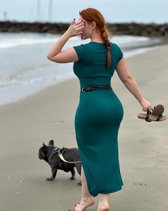 Big boy loves beach trips. 🐶 https://t.co/SOi1Yo4G0B