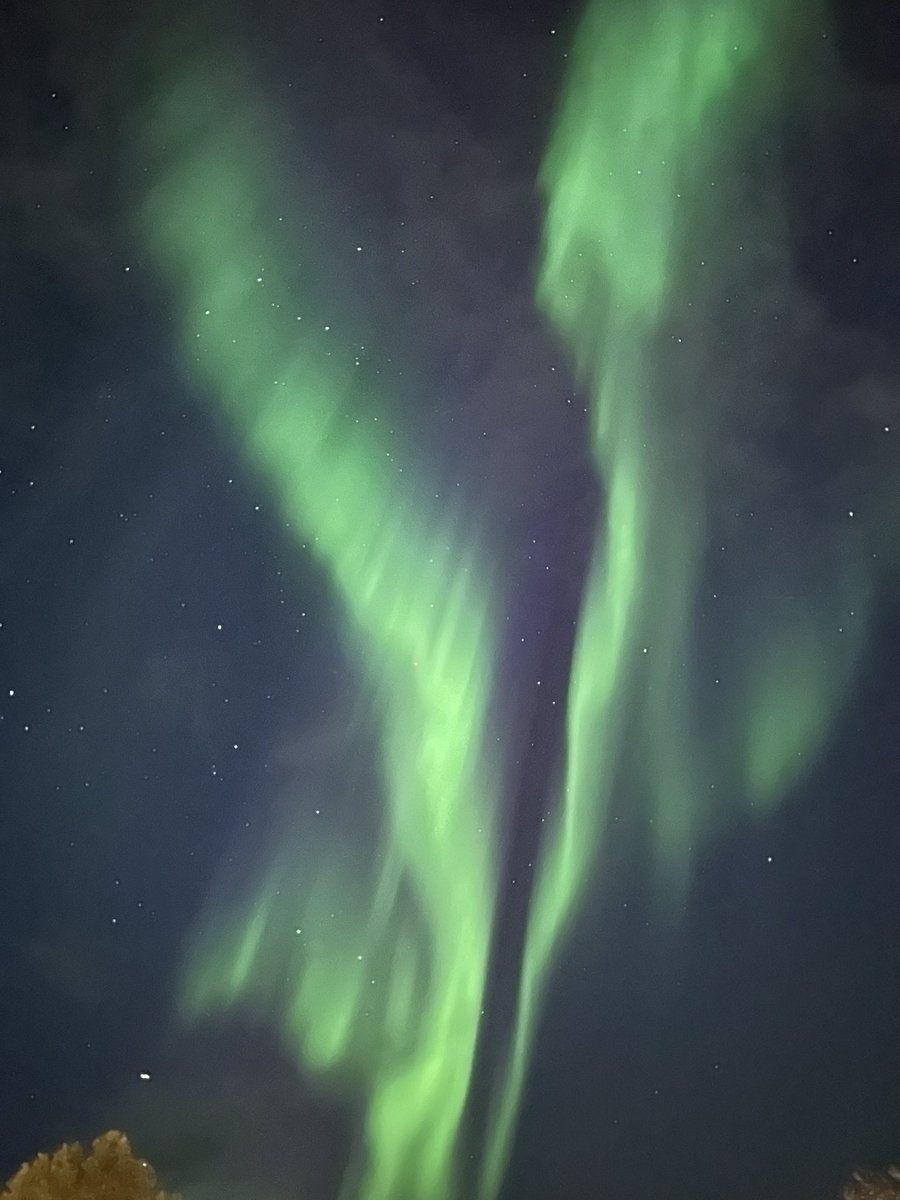 It’s kicking off outside. #northernlights #northernnorway #harstad #Auroraborealis