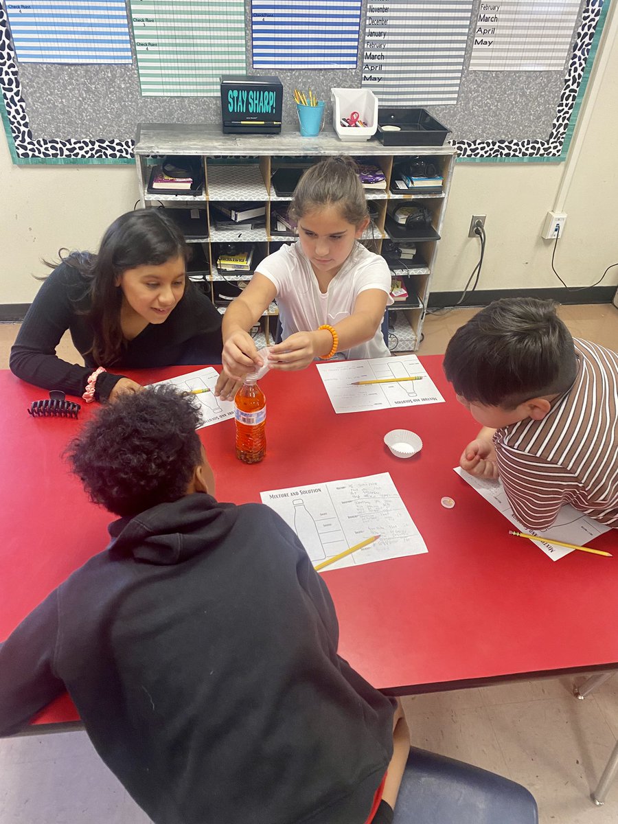 Madison Wittmayer tweet media