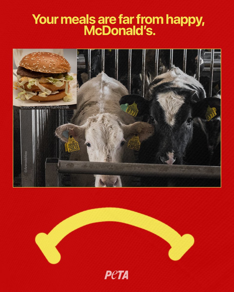 We’re hatin it, @McDonalds.
 
Slapping a “happy” label on your meals doesn’t change the fact that you profit off of MILLIONS of animals’ suffering & slaughter. #NationalCheeseburgerDay