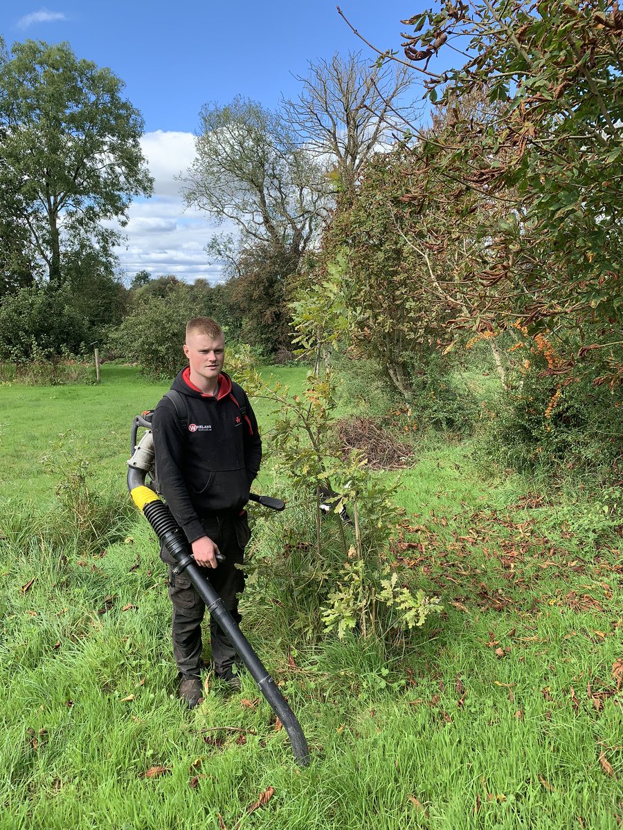 Seamus Cotter tweet media