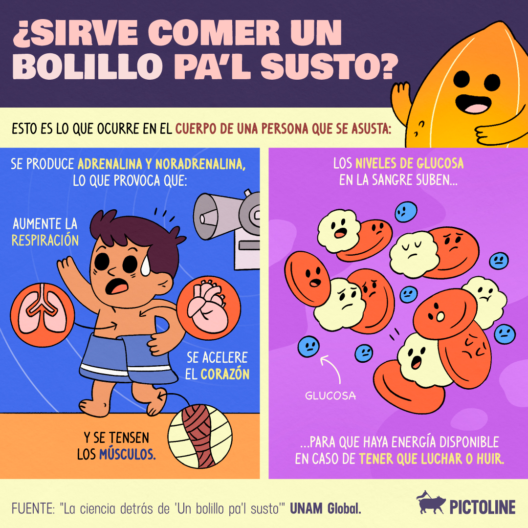 pictoline's tweet photo. Comer bolillo para el susto 🥖🥲, ¿realmente funciona? 🤔 https://t.co/blK0YnCz1t