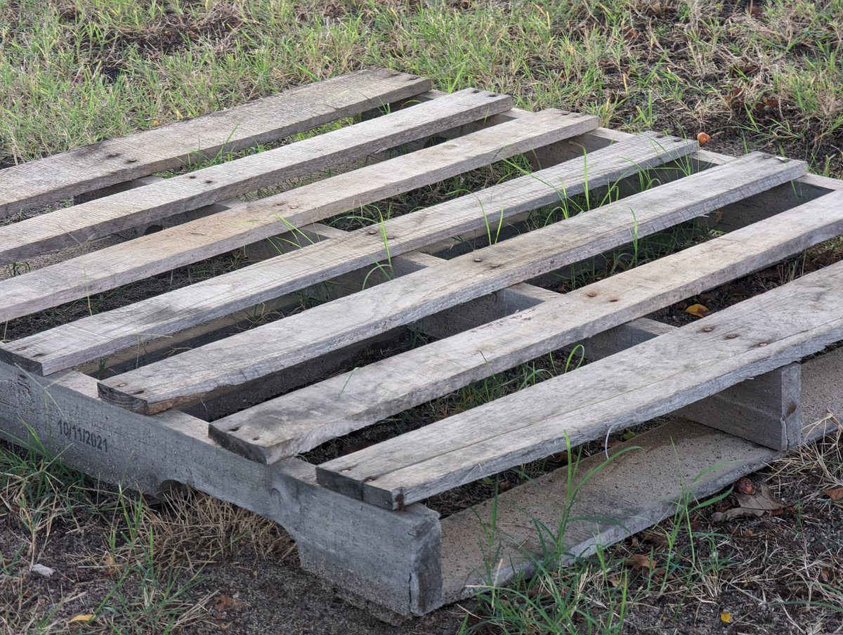 I spotted this on yesterday's #StetWalk, so a good time for this reminder:
- pallet: portable platform
- palate: roof of the mouth or taste
- palette: painter's board
#AmEditing