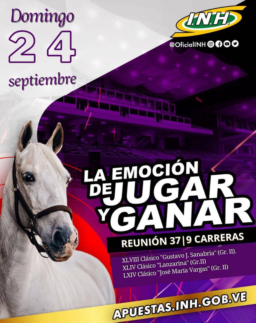 OficialINH's tweet photo. #ProgramaciónINH 📄 🐴

✅ Este domingo 24 de septiembre en la R37 del Hipódromo Internacional  La Rinconada🏇disfrutaremos de 9  apasionantes carreras 🏇, entre ellas: 

🏆XLVIII Clásico "Gustavo J. Sanabria" (Gr. II) 

🏆 XLIV Clásico "Lanzarina" (Gr. II) 

🏆 LXIV Clásico "José María Vargas" (Gr. II) 

• Inscritos aquí:

 ➡️ https://t.co/mwgPzUrbg8

#Hipismo 🐴
