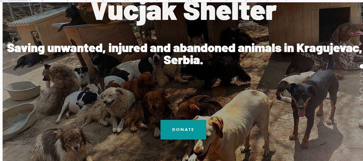 barrienj1's tweet image. PLEASE Help.  This animal rescue is in desperate need of help.  No amount is too small.
Read about their work here.... vucjakshelter.org