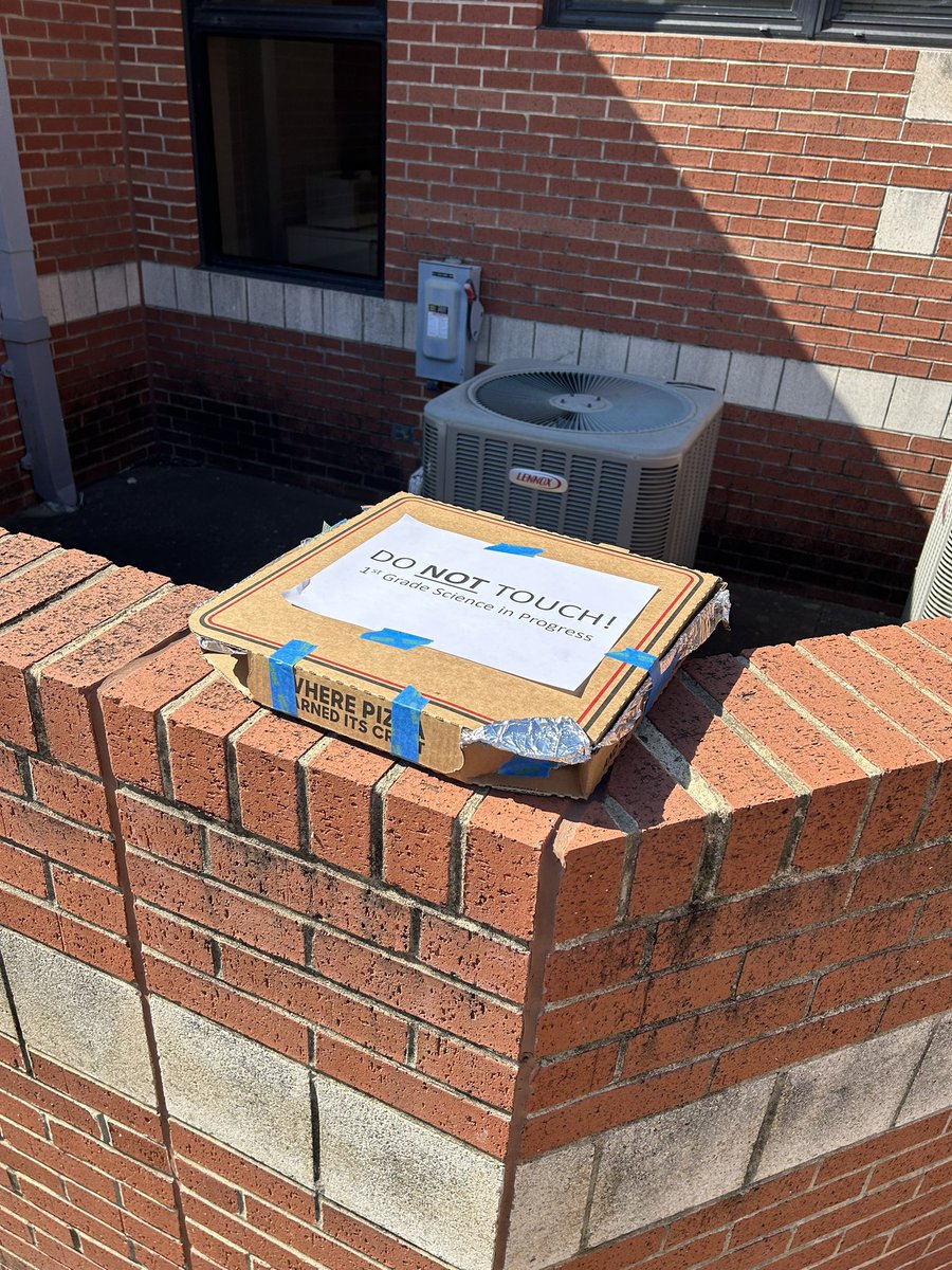 Shari Gulam tweet media