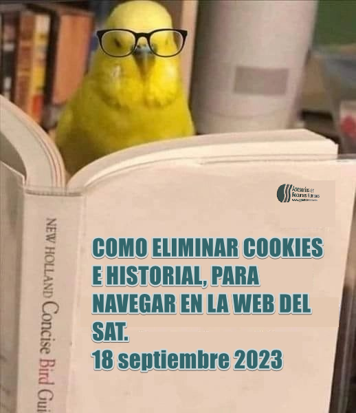 pepesoto's tweet photo. Hoy especialmente, solo he leido quejas de mis amigos #contadores.
#SAT https://t.co/1qp3MRXIAD
