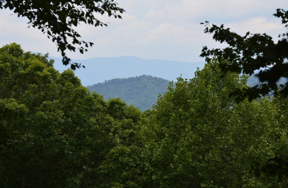 Elijah de Castro tweet media