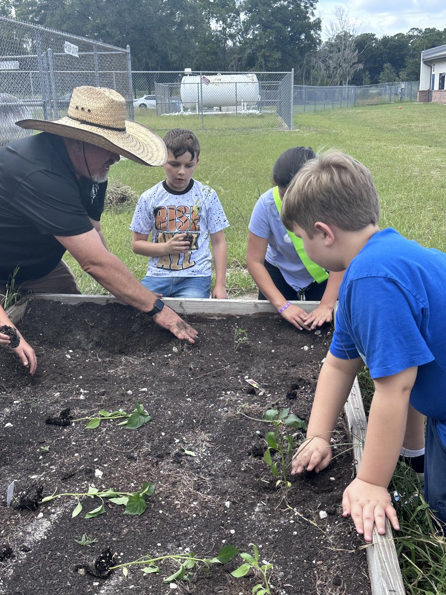 Christopher Roy tweet media