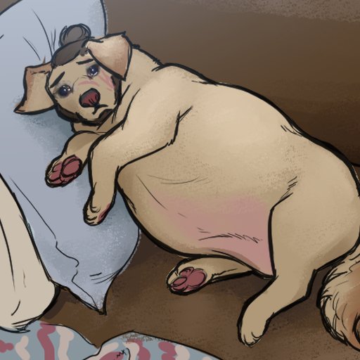 Peace to 🇺🇦 tweet media