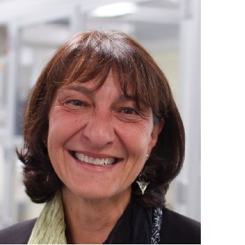 ARC_TCGCM's tweet image. Catch up on our most recent seminar featuring Professor Maria Forsyth from Deakin University, speaking about &apos;The environmental implications of Lithium batteries; could Sodium batteries based on ionic liquid electrolytes be more sustainable?&apos; youtube.com/watch?v=ueSb0p…