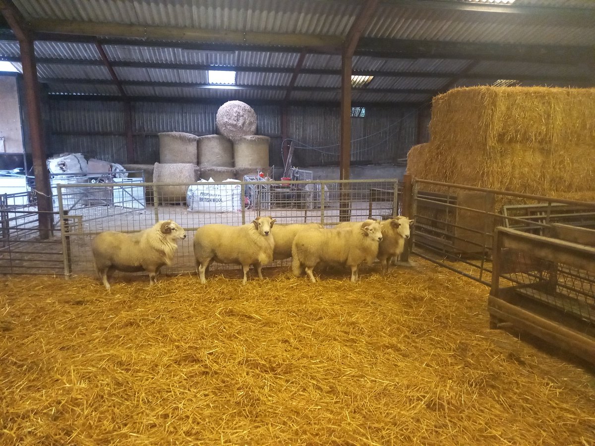 irweljones tweet media